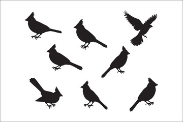 Bird Silhouette Bundle | Flying Birds Vector Clipart | SVG, PNG, EPS for Cricut & Laser Cutting

Birds Vector Silhouettes | Wildlife Animal SVG Files | Digital Bird Clipart for Crafts & Decor

Flying 