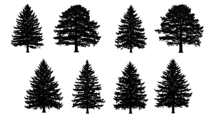 Obraz premium Create Transparent Background Forest Trees Silhouettes PNG Images Now!