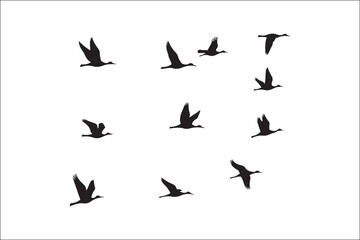 Bird Silhouette Bundle | Flying Birds Vector Clipart | SVG, PNG, EPS for Cricut & Laser Cutting

Birds Vector Silhouettes | Wildlife Animal SVG Files | Digital Bird Clipart for Crafts & Decor

Flying 