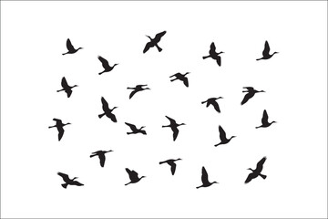 Bird Silhouette Bundle | Flying Birds Vector Clipart | SVG, PNG, EPS for Cricut & Laser Cutting

Birds Vector Silhouettes | Wildlife Animal SVG Files | Digital Bird Clipart for Crafts & Decor

Flying 