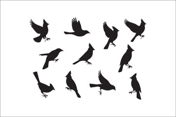 Bird Silhouette Bundle | Flying Birds Vector Clipart | SVG, PNG, EPS for Cricut & Laser Cutting

Birds Vector Silhouettes | Wildlife Animal SVG Files | Digital Bird Clipart for Crafts & Decor

Flying 
