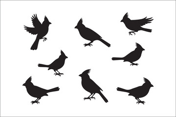 Bird Silhouette Bundle | Flying Birds Vector Clipart | SVG, PNG, EPS for Cricut & Laser Cutting

Birds Vector Silhouettes | Wildlife Animal SVG Files | Digital Bird Clipart for Crafts & Decor

Flying 