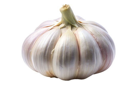 Single whole garlic bulb isolated on a Transparent Background with natural lighting