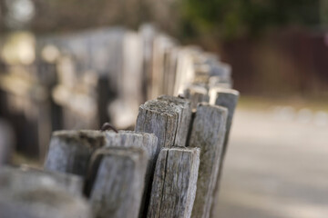 Płot wykonany z desek, które z czasem stały się szare. Zwietrzałe drewniane deski ogrodzeniowe z szarą patyną ustawione są blisko siebie, ukazując pionowe słoje i szorstkie tekstury. Światło słoneczne © Grzegorz