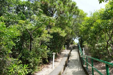 Nature Trail Entrance with Stone Steps