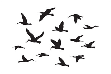 Bird Silhouette Bundle | Flying Birds Vector Clipart | SVG, PNG, EPS for Cricut & Laser Cutting

Birds Vector Silhouettes | Wildlife Animal SVG Files | Digital Bird Clipart for Crafts & Decor

Flying 