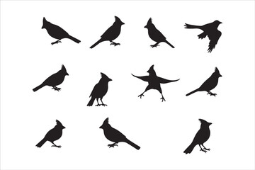 Bird Silhouette Bundle | Flying Birds Vector Clipart | SVG, PNG, EPS for Cricut & Laser Cutting

Birds Vector Silhouettes | Wildlife Animal SVG Files | Digital Bird Clipart for Crafts & Decor

Flying 