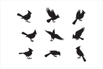 Bird Silhouette Bundle | Flying Birds Vector Clipart | SVG, PNG, EPS for Cricut & Laser Cutting

Birds Vector Silhouettes | Wildlife Animal SVG Files | Digital Bird Clipart for Crafts & Decor

Flying 