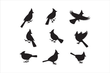 Bird Silhouette Bundle | Flying Birds Vector Clipart | SVG, PNG, EPS for Cricut & Laser Cutting

Birds Vector Silhouettes | Wildlife Animal SVG Files | Digital Bird Clipart for Crafts & Decor

Flying 