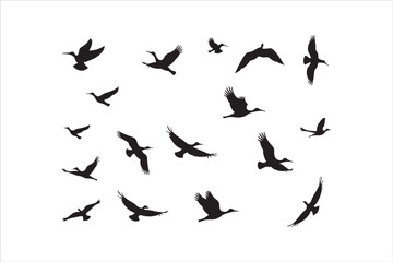 Bird Silhouette Bundle | Flying Birds Vector Clipart | SVG, PNG, EPS for Cricut & Laser Cutting

Birds Vector Silhouettes | Wildlife Animal SVG Files | Digital Bird Clipart for Crafts & Decor

Flying 