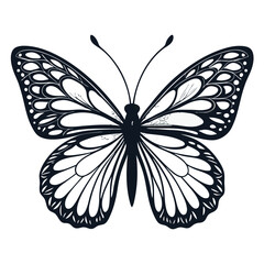 monarch butterflies set vector