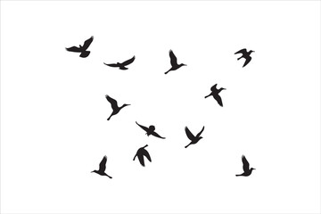Bird Silhouette Bundle | Flying Birds Vector Clipart | SVG, PNG, EPS for Cricut & Laser Cutting

Birds Vector Silhouettes | Wildlife Animal SVG Files | Digital Bird Clipart for Crafts & Decor

Flying 
