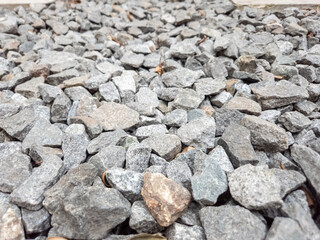 Close-up photo of garden coral stone used as an aesthetic ground cover in the garden