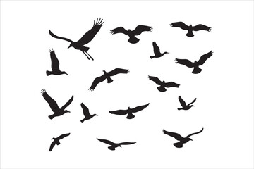 Bird Silhouette Bundle | Flying Birds Vector Clipart | SVG, PNG, EPS for Cricut & Laser Cutting

Birds Vector Silhouettes | Wildlife Animal SVG Files | Digital Bird Clipart for Crafts & Decor

Flying 