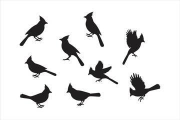 Bird Silhouette Bundle | Flying Birds Vector Clipart | SVG, PNG, EPS for Cricut & Laser Cutting

Birds Vector Silhouettes | Wildlife Animal SVG Files | Digital Bird Clipart for Crafts & Decor

Flying 