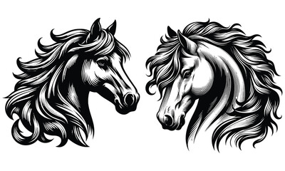 horse vector illustration