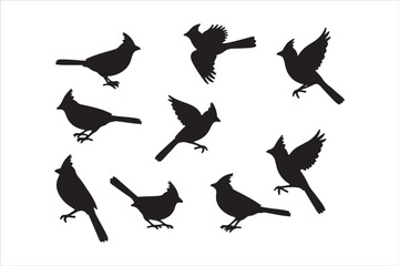 Bird Silhouette Bundle | Flying Birds Vector Clipart | SVG, PNG, EPS for Cricut & Laser Cutting

Birds Vector Silhouettes | Wildlife Animal SVG Files | Digital Bird Clipart for Crafts & Decor

Flying 