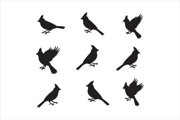 Bird Silhouette Bundle | Flying Birds Vector Clipart | SVG, PNG, EPS for Cricut & Laser Cutting

Birds Vector Silhouettes | Wildlife Animal SVG Files | Digital Bird Clipart for Crafts & Decor

Flying 