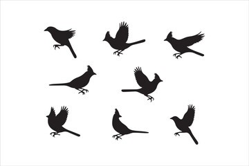 Bird Silhouette Bundle | Flying Birds Vector Clipart | SVG, PNG, EPS for Cricut & Laser Cutting

Birds Vector Silhouettes | Wildlife Animal SVG Files | Digital Bird Clipart for Crafts & Decor

Flying 