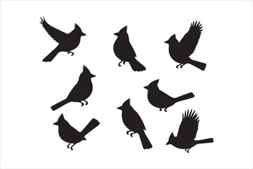 Bird Silhouette Bundle | Flying Birds Vector Clipart | SVG, PNG, EPS for Cricut & Laser Cutting

Birds Vector Silhouettes | Wildlife Animal SVG Files | Digital Bird Clipart for Crafts & Decor

Flying 