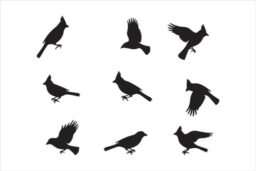 Bird Silhouette Bundle | Flying Birds Vector Clipart | SVG, PNG, EPS for Cricut & Laser Cutting

Birds Vector Silhouettes | Wildlife Animal SVG Files | Digital Bird Clipart for Crafts & Decor

Flying 