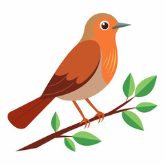 Nightingale bird vector art illustration