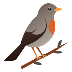 Nightingale bird vector art illustration