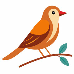 Nightingale bird vector art illustration