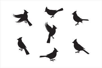 Bird Silhouette Bundle | Flying Birds Vector Clipart | SVG, PNG, EPS for Cricut & Laser Cutting

Birds Vector Silhouettes | Wildlife Animal SVG Files | Digital Bird Clipart for Crafts & Decor

Flying 