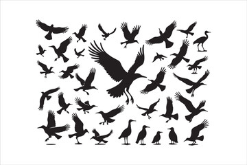 Bird Silhouette Bundle | Flying Birds Vector Clipart | SVG, PNG, EPS for Cricut & Laser Cutting

Birds Vector Silhouettes | Wildlife Animal SVG Files | Digital Bird Clipart for Crafts & Decor

Flying 