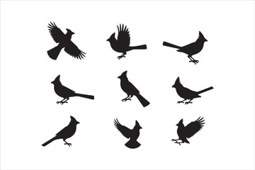 Bird Silhouette Bundle | Flying Birds Vector Clipart | SVG, PNG, EPS for Cricut & Laser Cutting

Birds Vector Silhouettes | Wildlife Animal SVG Files | Digital Bird Clipart for Crafts & Decor

Flying 
