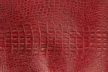 Red crocodile leather texture