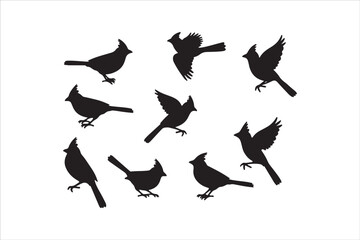 Bird Silhouette Bundle | Flying Birds Vector Clipart | SVG, PNG, EPS for Cricut & Laser Cutting

Birds Vector Silhouettes | Wildlife Animal SVG Files | Digital Bird Clipart for Crafts & Decor

Flying 