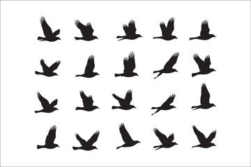 Bird Silhouette Bundle | Flying Birds Vector Clipart | SVG, PNG, EPS for Cricut & Laser Cutting

Birds Vector Silhouettes | Wildlife Animal SVG Files | Digital Bird Clipart for Crafts & Decor

Flying 