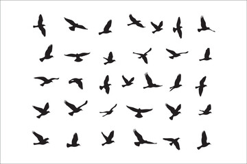 Bird Silhouette Bundle | Flying Birds Vector Clipart | SVG, PNG, EPS for Cricut & Laser Cutting

Birds Vector Silhouettes | Wildlife Animal SVG Files | Digital Bird Clipart for Crafts & Decor

Flying 
