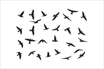 Bird Silhouette Bundle | Flying Birds Vector Clipart | SVG, PNG, EPS for Cricut & Laser Cutting

Birds Vector Silhouettes | Wildlife Animal SVG Files | Digital Bird Clipart for Crafts & Decor

Flying 
