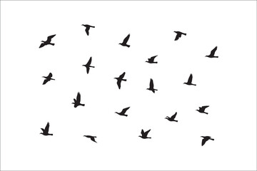 Bird Silhouette Bundle | Flying Birds Vector Clipart | SVG, PNG, EPS for Cricut & Laser Cutting

Birds Vector Silhouettes | Wildlife Animal SVG Files | Digital Bird Clipart for Crafts & Decor

Flying 