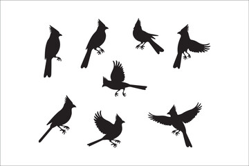 Bird Silhouette Bundle | Flying Birds Vector Clipart | SVG, PNG, EPS for Cricut & Laser Cutting

Birds Vector Silhouettes | Wildlife Animal SVG Files | Digital Bird Clipart for Crafts & Decor

Flying 