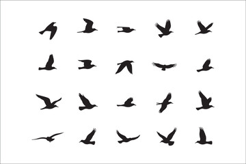 Bird Silhouette Bundle | Flying Birds Vector Clipart | SVG, PNG, EPS for Cricut & Laser Cutting

Birds Vector Silhouettes | Wildlife Animal SVG Files | Digital Bird Clipart for Crafts & Decor

Flying 