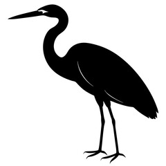 Obraz premium great blue heron