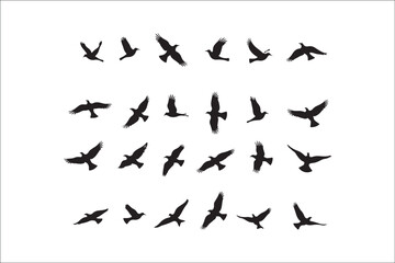 Bird Silhouette Bundle | Flying Birds Vector Clipart | SVG, PNG, EPS for Cricut & Laser Cutting

Birds Vector Silhouettes | Wildlife Animal SVG Files | Digital Bird Clipart for Crafts & Decor

Flying 