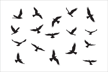 Bird Silhouette Bundle | Flying Birds Vector Clipart | SVG, PNG, EPS for Cricut & Laser Cutting

Birds Vector Silhouettes | Wildlife Animal SVG Files | Digital Bird Clipart for Crafts & Decor

Flying 