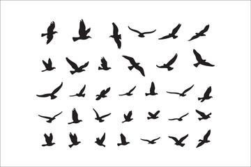 Bird Silhouette Bundle | Flying Birds Vector Clipart | SVG, PNG, EPS for Cricut & Laser Cutting

Birds Vector Silhouettes | Wildlife Animal SVG Files | Digital Bird Clipart for Crafts & Decor

Flying 