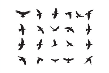 Bird Silhouette Bundle | Flying Birds Vector Clipart | SVG, PNG, EPS for Cricut & Laser Cutting

Birds Vector Silhouettes | Wildlife Animal SVG Files | Digital Bird Clipart for Crafts & Decor

Flying 