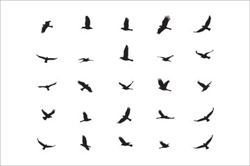 Bird Silhouette Bundle | Flying Birds Vector Clipart | SVG, PNG, EPS for Cricut & Laser Cutting

Birds Vector Silhouettes | Wildlife Animal SVG Files | Digital Bird Clipart for Crafts & Decor

Flying 