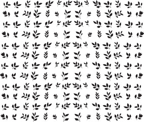Seamless pattern of abstract leaves and flower. back floral leaf shape organic on white background