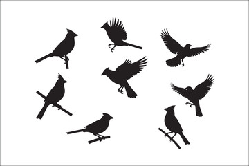Bird Silhouette Bundle | Flying Birds Vector Clipart | SVG, PNG, EPS for Cricut & Laser Cutting

Birds Vector Silhouettes | Wildlife Animal SVG Files | Digital Bird Clipart for Crafts & Decor

Flying 
