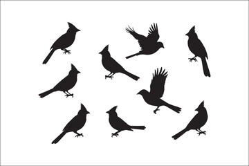 Bird Silhouette Bundle | Flying Birds Vector Clipart | SVG, PNG, EPS for Cricut & Laser Cutting

Birds Vector Silhouettes | Wildlife Animal SVG Files | Digital Bird Clipart for Crafts & Decor

Flying 