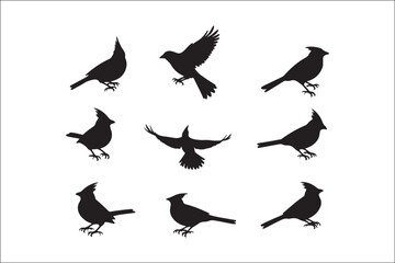Bird Silhouette Bundle | Flying Birds Vector Clipart | SVG, PNG, EPS for Cricut & Laser Cutting

Birds Vector Silhouettes | Wildlife Animal SVG Files | Digital Bird Clipart for Crafts & Decor

Flying 