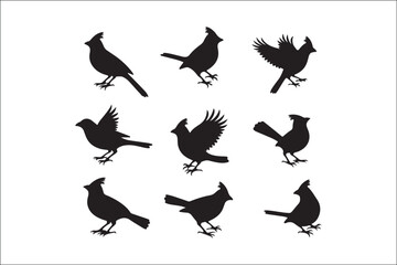 Obraz premium Bird Silhouette Bundle | Flying Birds Vector Clipart | SVG, PNG, EPS for Cricut & Laser CuttingBirds Vector Silhouettes | Wildlife Animal SVG Files | Digital Bird Clipart for Crafts & DecorFlying 